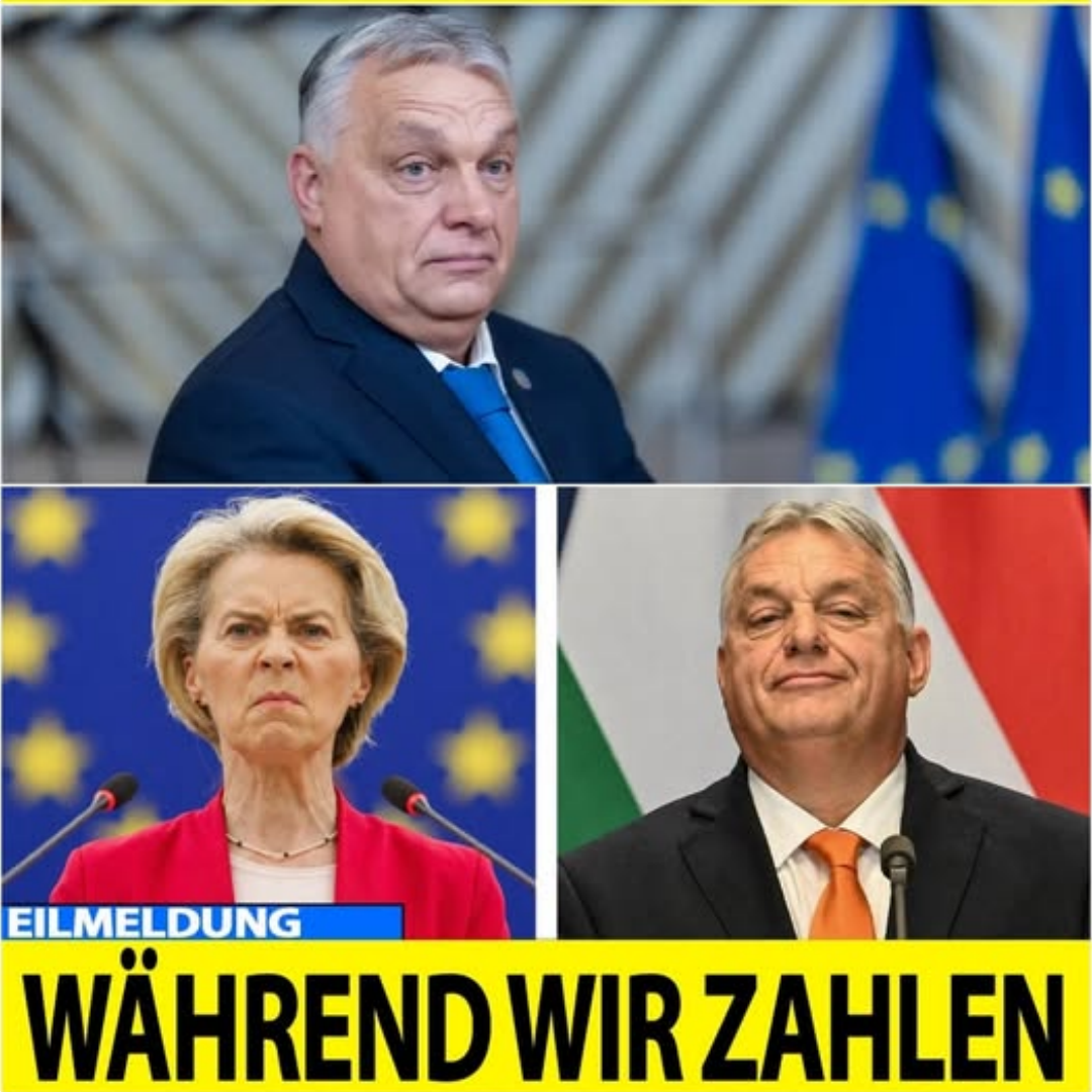 Druschba fließt WIEDER! – Orbán blamiert Brüssel komplett!