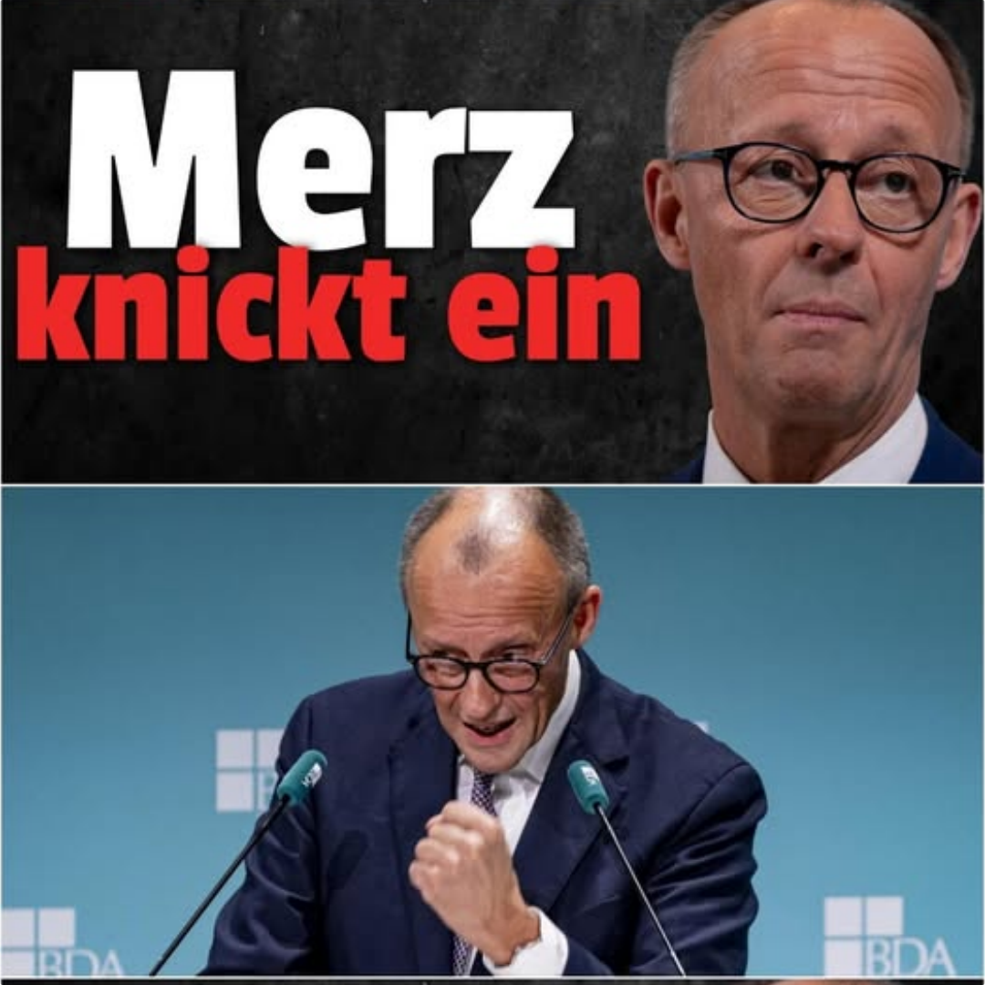 Merz redet sich UM KOPF UND KRAGEN!!