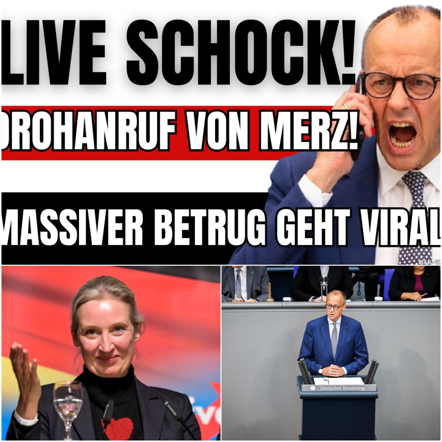 SCHOCK-ENTHÜLLUNG: Weidels Frontalangriff auf die Regierung – Vertuschte Zahlen, gesprengte Kraftwerke und der Verrat an Deutschland
