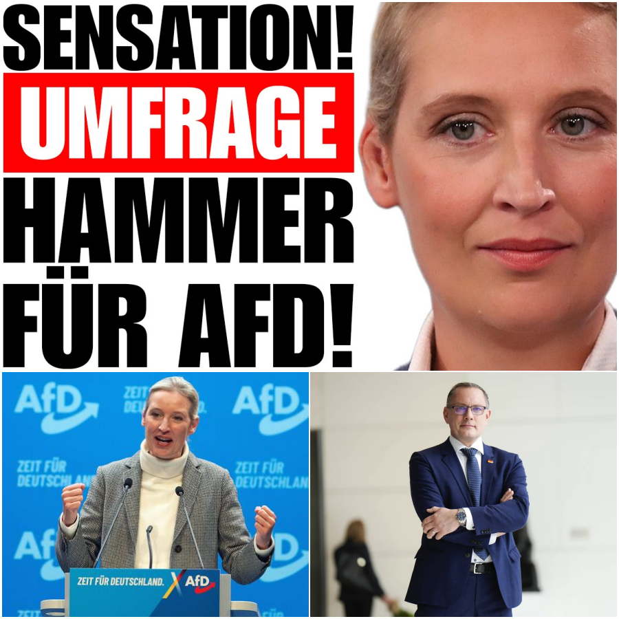 Ein politisches Beben: Wie eine neue Umfrage die Brandmauer der Union zum Einsturz bringt