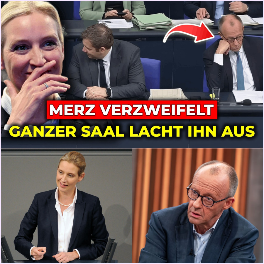 Das Beben im Plenarsaal: Alice Weidels historische Abrechnung mit der Dauer-Krise und der Satz, der Friedrich Merz aus der Fassung brachte