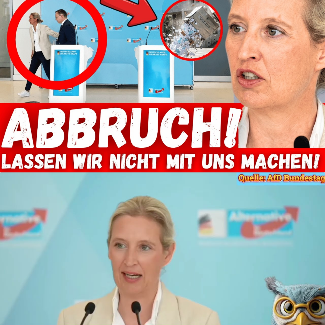Skandal um Nord Stream: Alice Weidel fordert sofortigen Zahlungsstopp an die Ukraine nach neuen Enthüllungen
