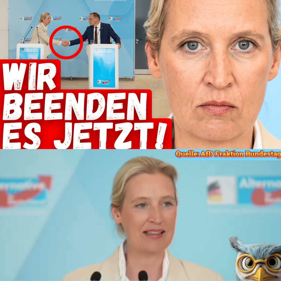 “Wir müssen das beenden!”: Alice Weidel enthüllt gnadenlose Wahrheit über Staatsbankrott und fordert Neuwahlen