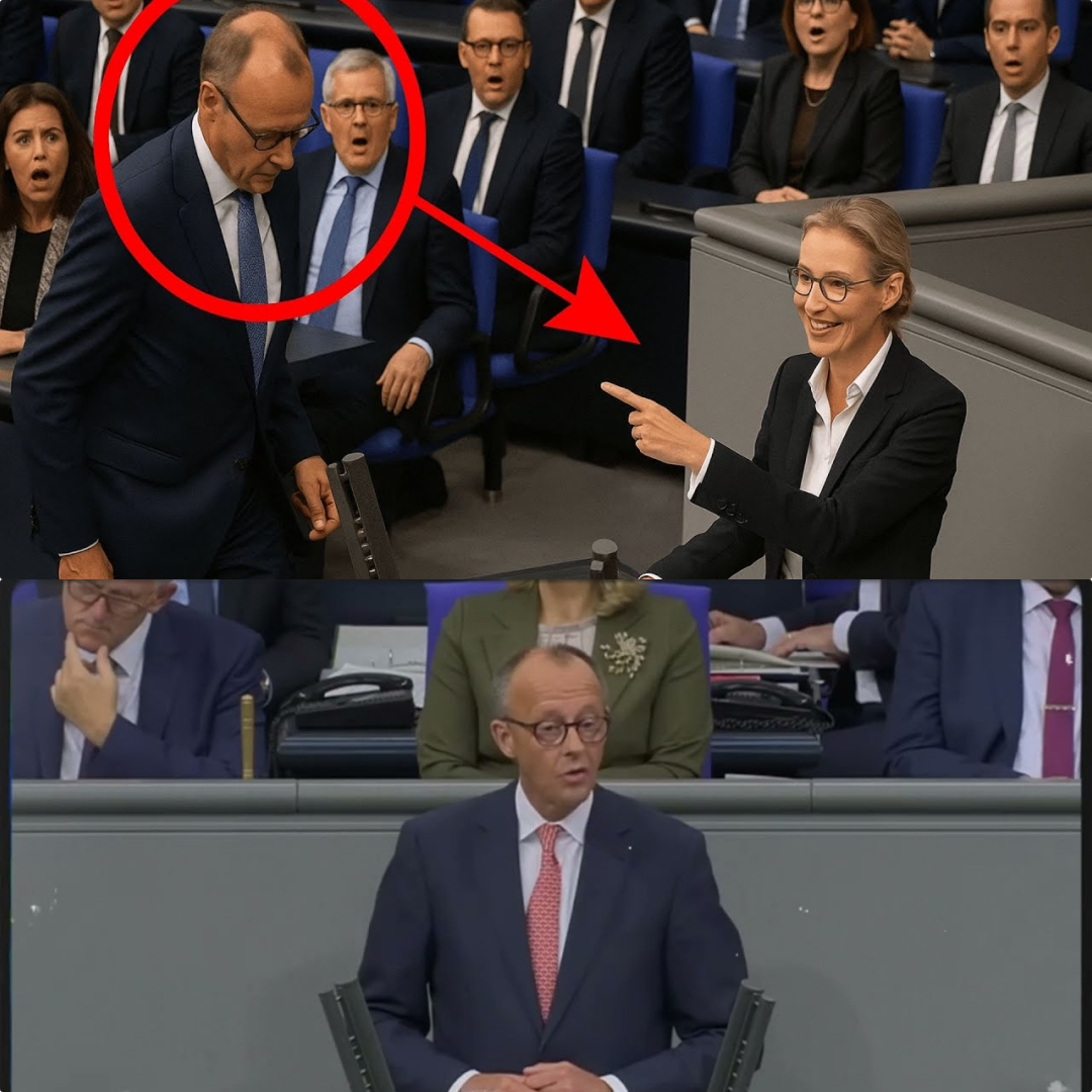 Brisante Enthüllung im Bundestag: Der Tag, an dem Friedrich Merz wankte und Alice Weidel zum Großangriff blies