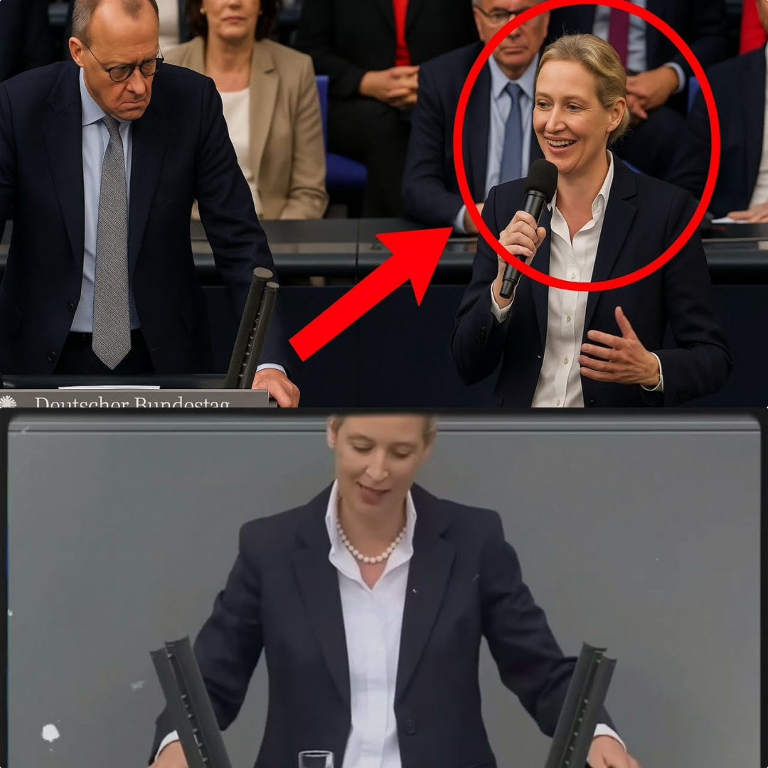 Politisches Erdbeben im Bundestag: Alice Weidel bringt Friedrich Merz mit Geheimdokumenten in Bedrängnis