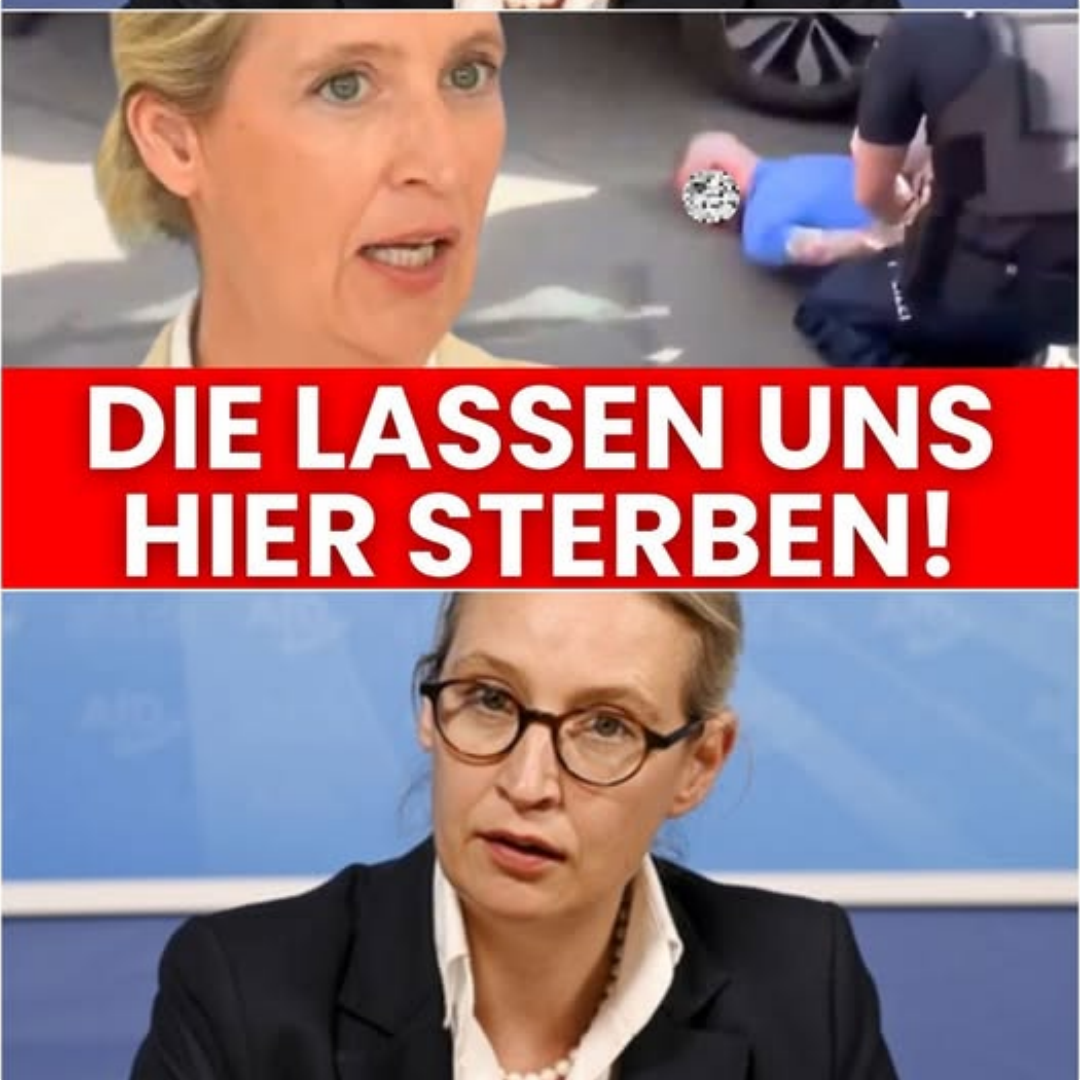 BREAKING IN LEIPZIG IST DIE HÖLLE LOS AFD VIDEO GEHT GERADE ÜBERALL AUF X VIRAL