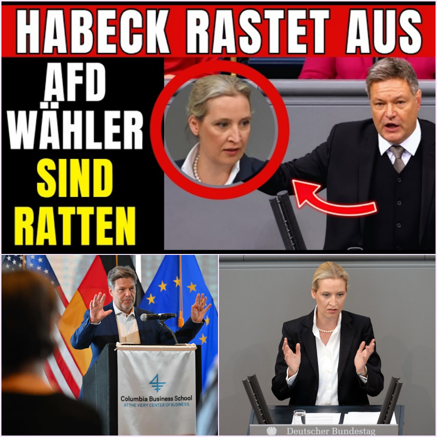 Der große Knall im Parlament: Wenn Habecks Weltoffenheit auf Weidels Wutrede prallt – Ein politisches Erdbeben in Deutschland