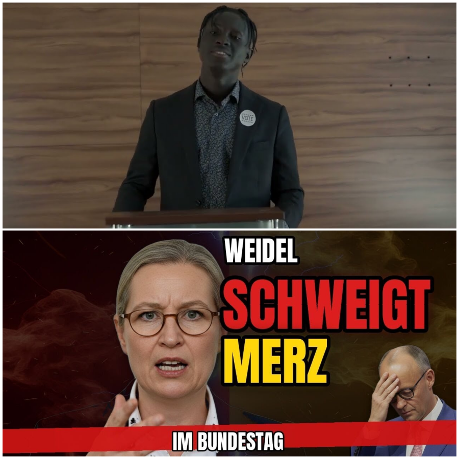 Merz findet keine Antwort – und Weidel belegt es mit Zahlen