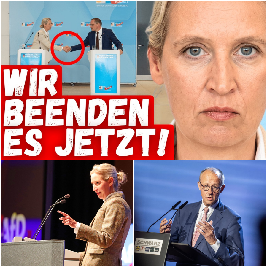 Der politische Paukenschlag: Eine Nation am Scheideweg und die bittere Bilanz nach einem Jahr Kanzlerschaft