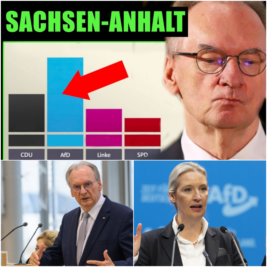 Historischer Umfrage-Schock: 42 Prozent für die AfD stürzen die etablierten Parteien in beispiellose Panik und Verzweiflung