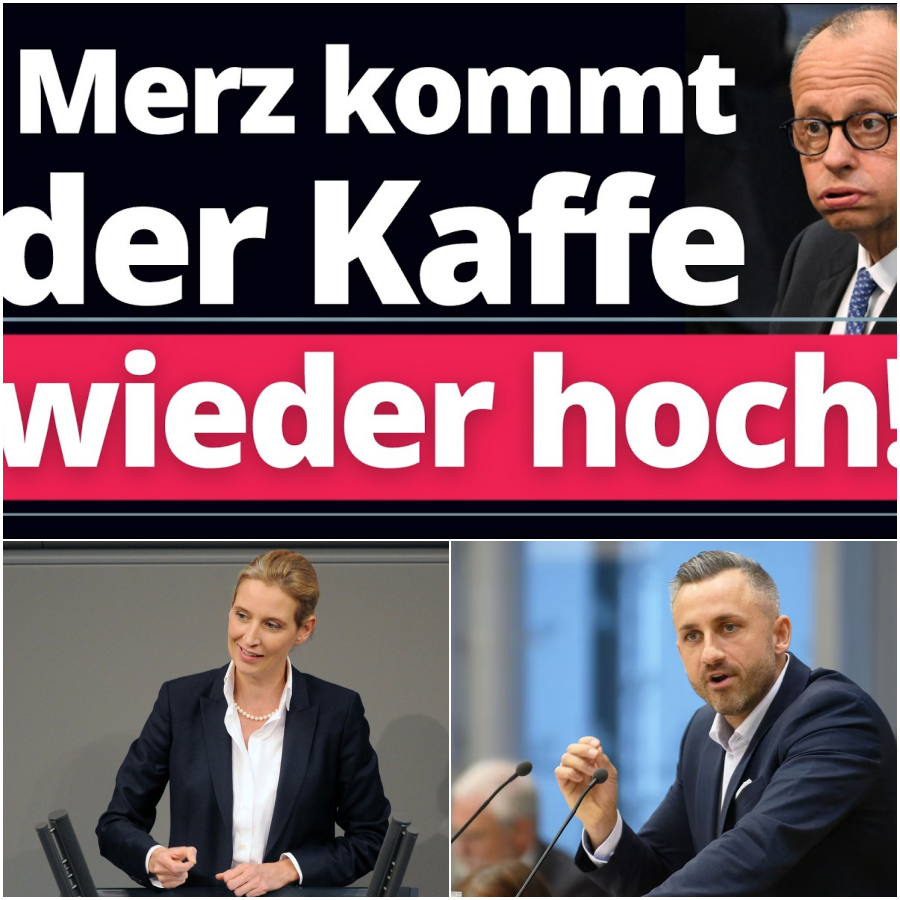 Schockwelle durch die Altparteien: CDU verliert Zehntausende Mitglieder, während die AfD in Sachsen-Anhalt auf historische 41 Prozent zustürmt!