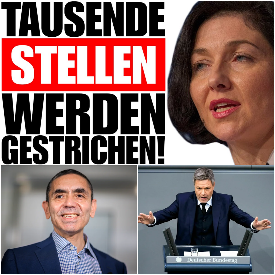 Der große Subventions-Crash: Warum staatlich geförderte Konzerne jetzt Tausende Mitarbeiter feuern und was das für uns bedeutet