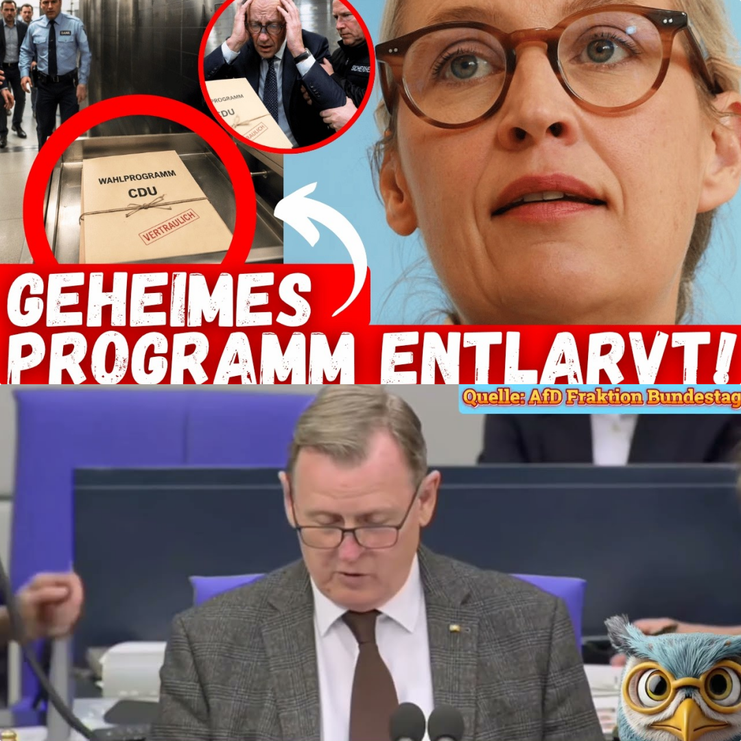Der Paukenschlag im Parlament: Das angebliche Doppelspiel des Friedrich Merz und die drohende Staatskrise