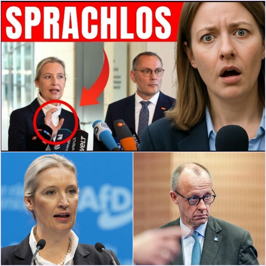 Demokratie in der Krise? Alice Weidel rechnet mit dem Bundestag ab – und lässt Reporter sprachlos zurück