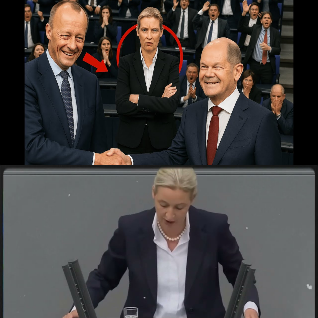Donnerschlag im Bundestag: Der Moment, in dem Friedrich Merz die Kontrolle verlor – Alice Weidel enthüllt den geheimen SPD-Pakt
