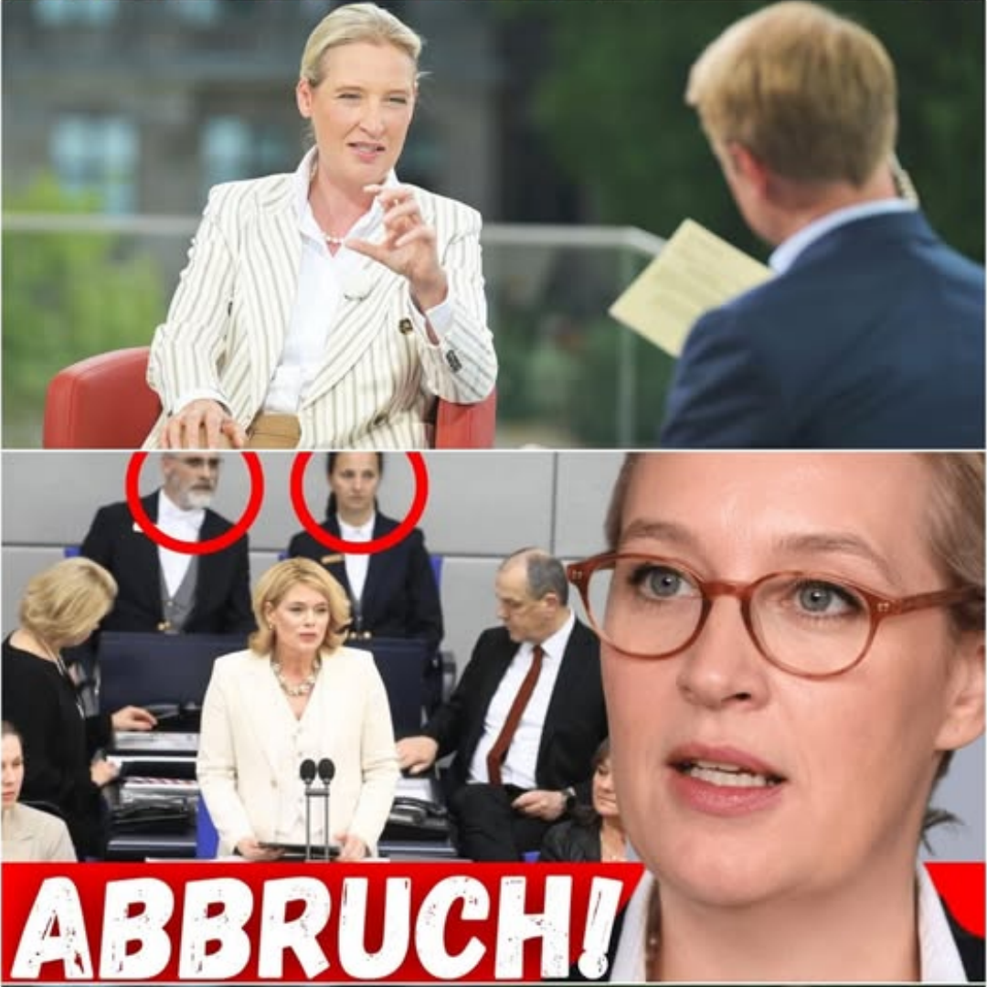 SCHOCK! Weidel entlarvt BRUTALEN BETRUG!
