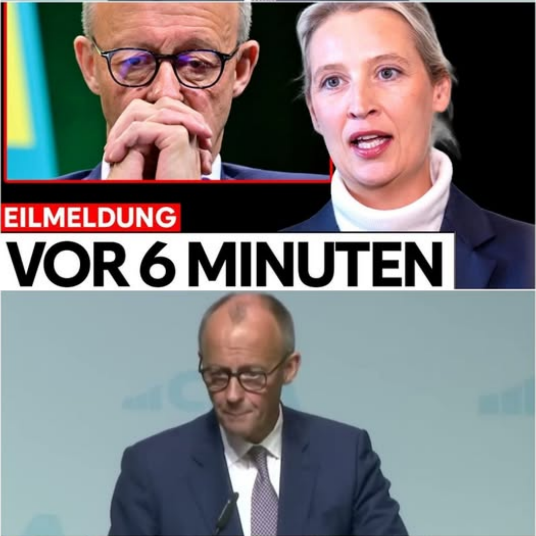 SENSATION! Alice Weidel BESTÄTIGT NEUWAHLEN!