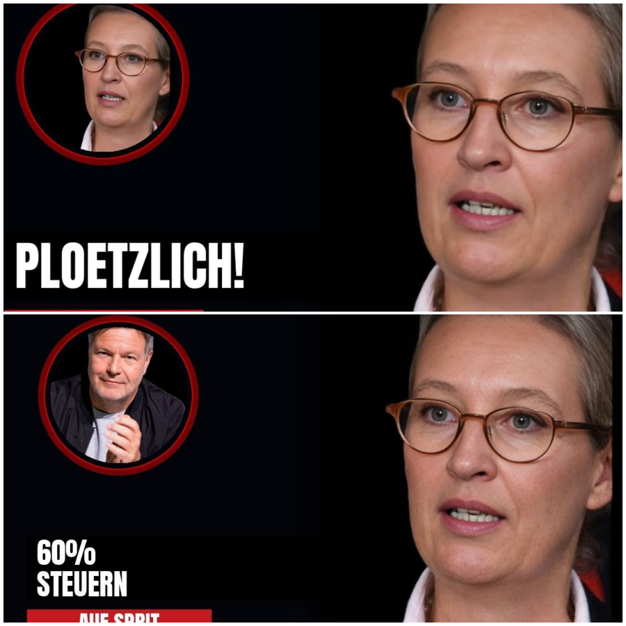PLÖTZLICH 60% STEUERN AUF SPRIT! WEIDEL ZERLEGT AMPEL-ENERGIEPOLITIK LIVE!