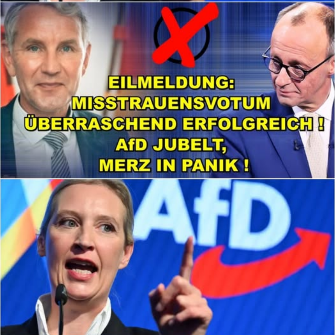 Der finale Schlag gegen das politische Establishment: Alice Weidels Abrechnung mit Friedrich Merz und der drohende wirtschaftliche Exitus Deutschlands