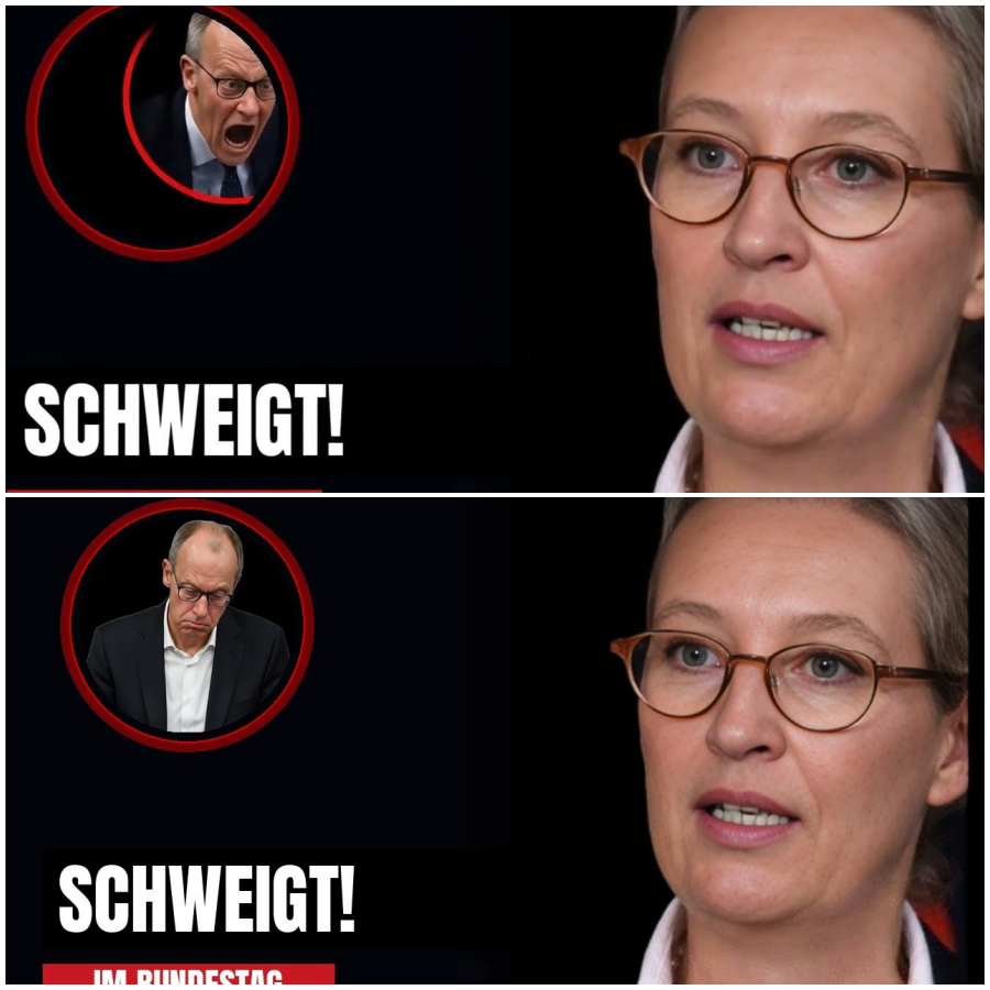 PLÖTZLICH 50.000 ZUWANDERER PRO QUARTAL — WEIDEL ZERLEGT MERZ-PRÄMIE LIVE!