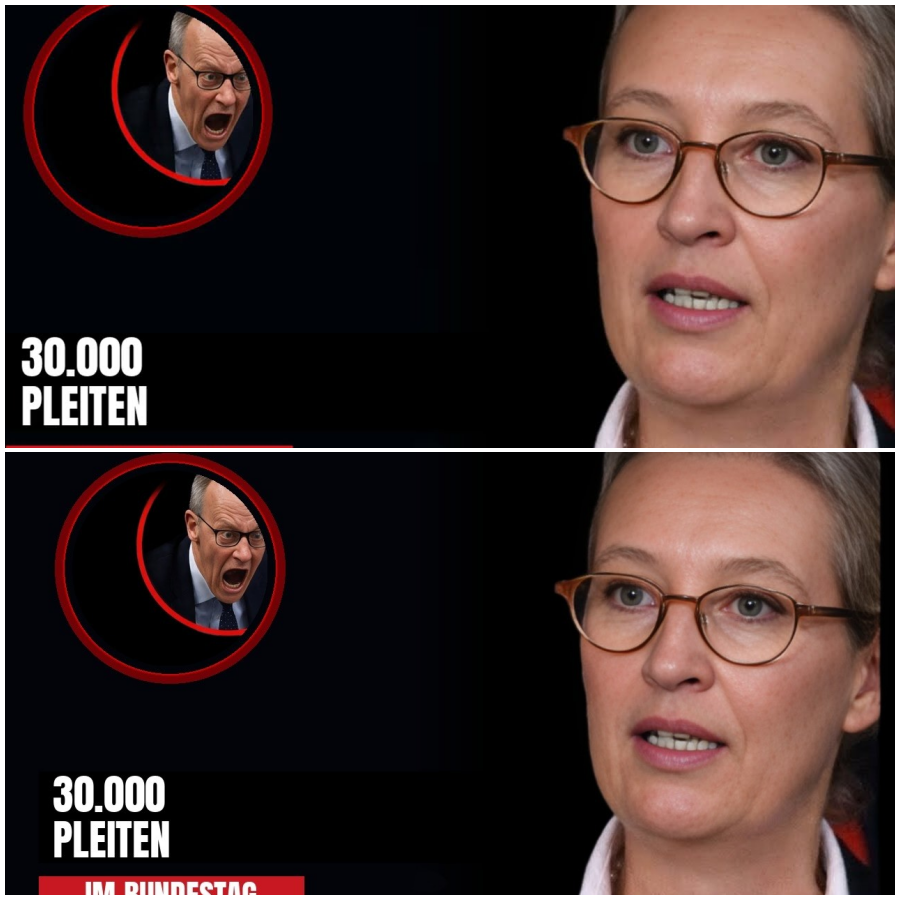 PLÖTZLICH RUFT KANZLERAMT WEIDEL AN — DANN ESKALIERT ES IM BUNDESTAG!