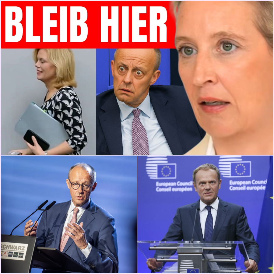 Der Kanzler der zwei Gesichter: Wie Friedrich Merz Deutschland mit einem geheimen Schattenprogramm an den Rand des Abgrunds manövriert