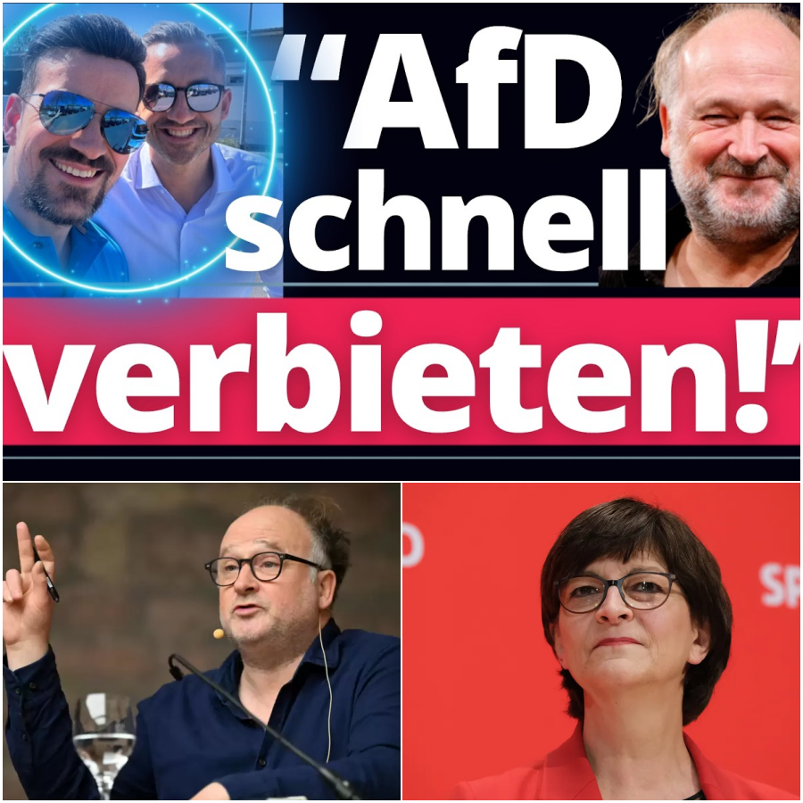 Die nackte Panik der Eliten: Wenn der Ruf nach einem AfD-Verbot die eigene Demokratiefeindlichkeit entlarvt