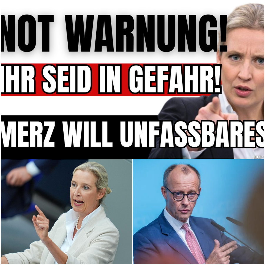 Kollaps mit Ansage: Warum Alice Weidel wegen Friedrich Merz den “Staatsbankrott” ausruft und was das für Ihr Geld bedeutet