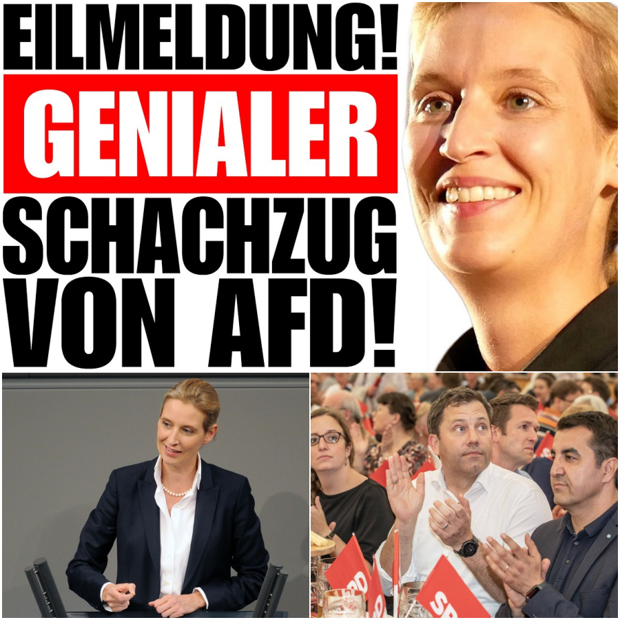 Der geplatzte Safe-Space: Wie die AfD mit einem genialen Schachzug die Linksgrünen auf BlueSky vorführt