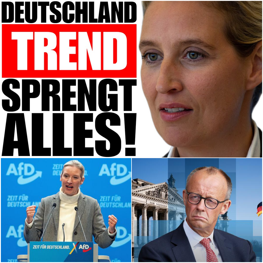 Ein historisches politisches Beben: Alice Weidels beispielloser Aufstieg im Deutschlandtrend und der rasante Absturz der etablierten Elite