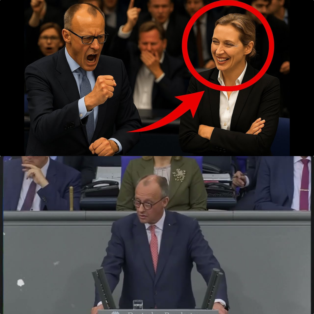 Deutschland im Ausnahmezustand? Wie Friedrich Merz den Frieden für beendet erklärte und Alice Weidel ihn live demontierte