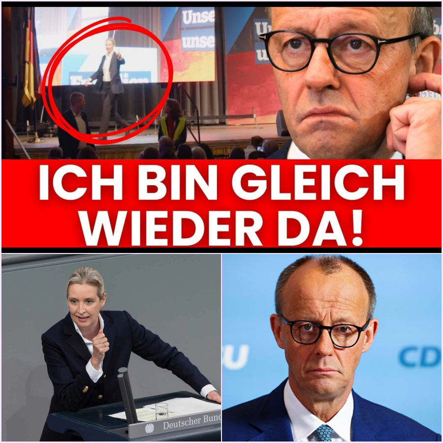 Alice Weidel rechnet ab: Ein feuriger Auftritt in Bad Dürkheim, der die politische Landschaft erschüttert