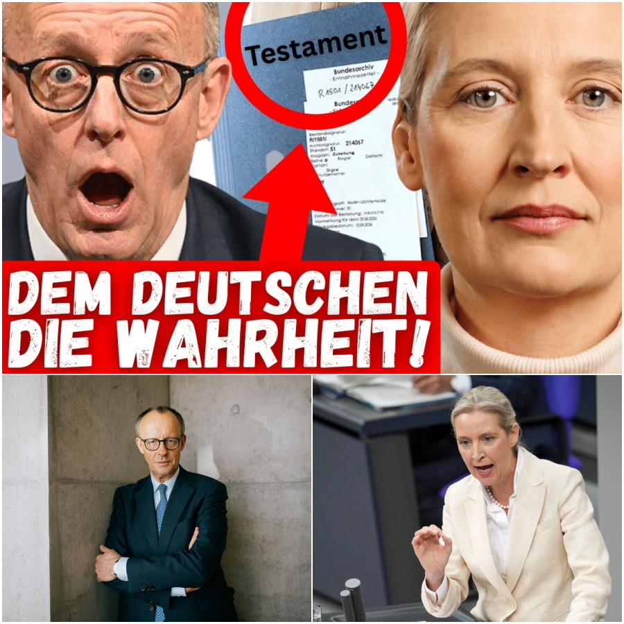 Die Milliarden-Wette gegen Deutschland: Ein brisantes Schattenprogramm von Friedrich Merz enthüllt?
