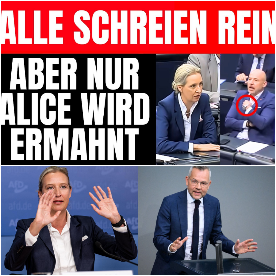 Eklat und Enthüllungen im Bundestag: Wie ein beispielloser Ausraster gegen Alice Weidel das wahre Migrationsversagen der Regierung demaskiert