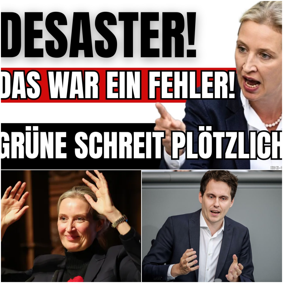 Frontalangriff im Parlament: Alice Weidel zerlegt Regierungspolitik und kontert Grünen-Provokation mit historischer Härte