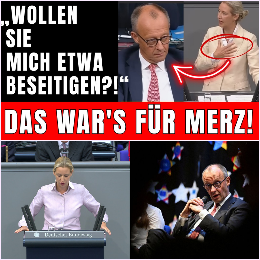 Politisches Erdbeben im Bundestag: „Wollen Sie mich etwa beseitigen?!“ – Als Weidel DAS sagt, wird Merz kreidebleich!