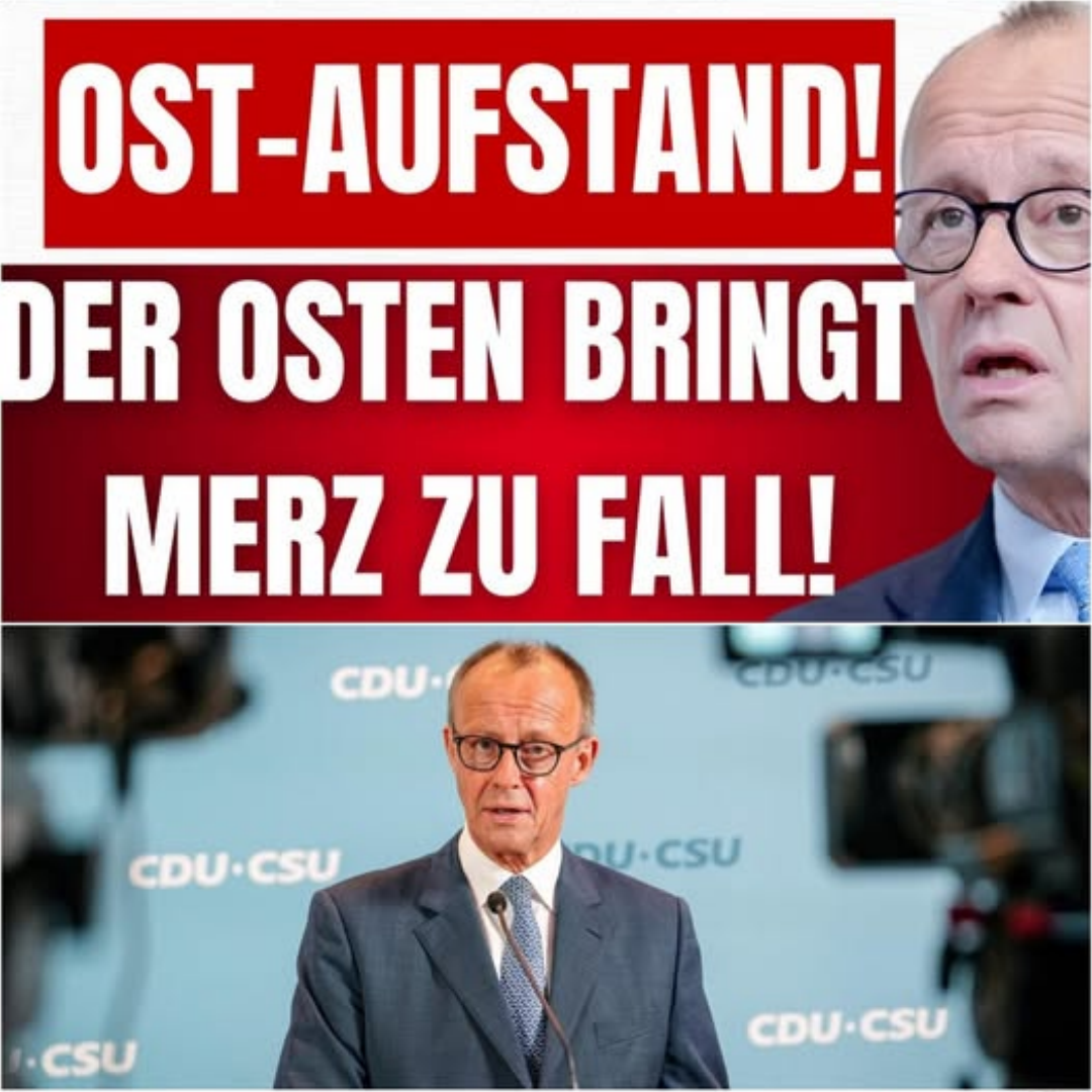 KRALL SCHLÄGT ALARM: Das politische Erdbeben aus Ostdeutschland, der Absturz von Friedrich Merz und der unausweichliche Systemwechsel