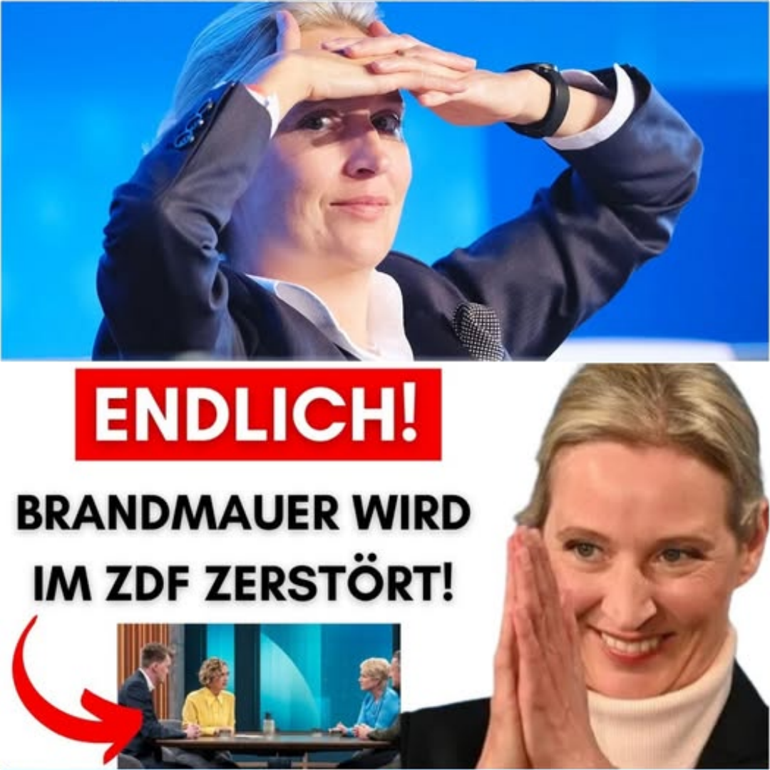 Braundmauer wird endlich im ZDF zerstört + AfD gewinnt ersten Bürgermeister in Brandenburg!