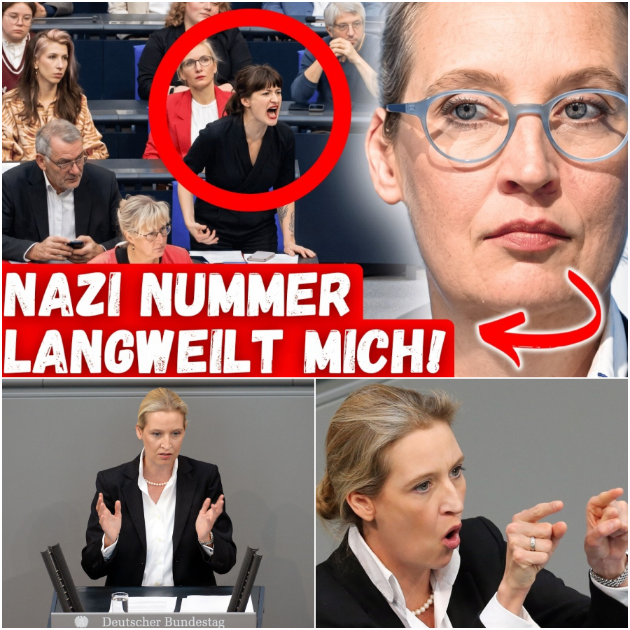 Die epochale Abrechnung: Wie Alice Weidel im Bundestag die politische Elite schonungslos demontierte