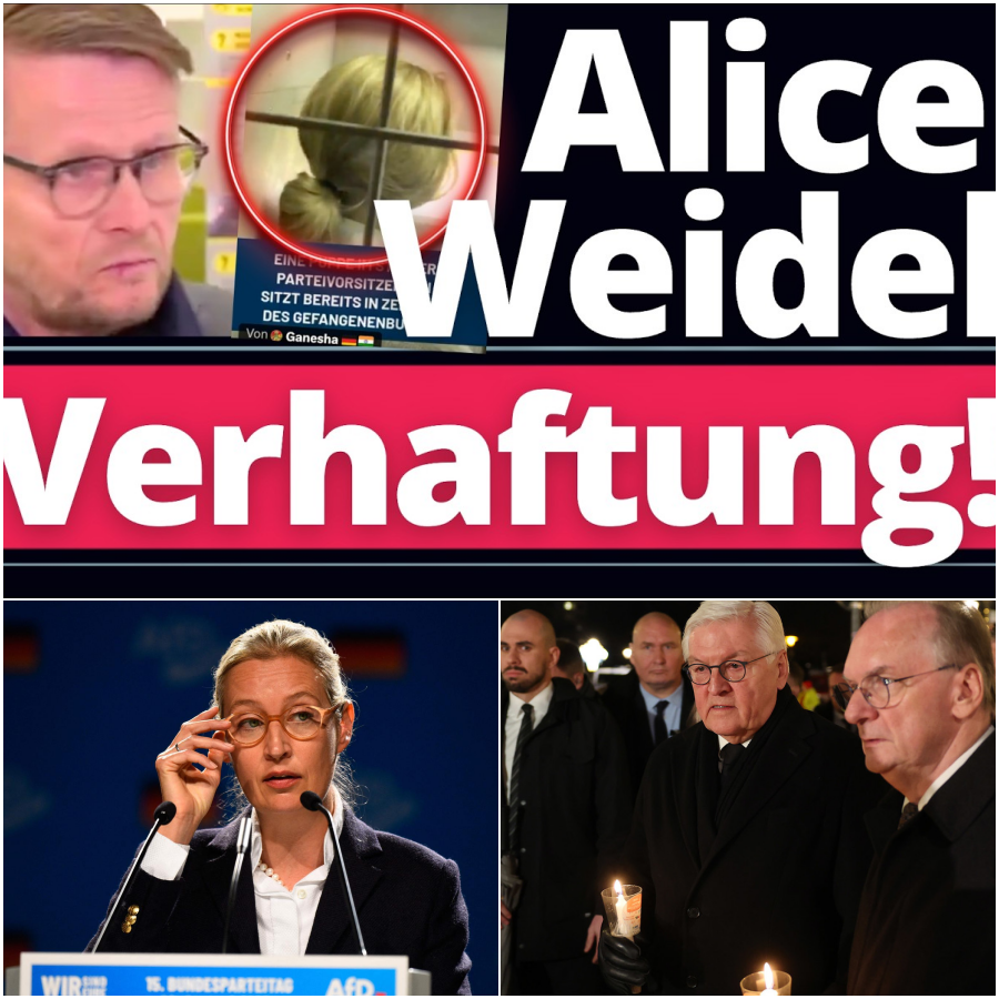 Eklat auf dem Schulhof: Wenn das Klassenzimmer zum Schauplatz fragwürdiger politischer Indoktrination wird