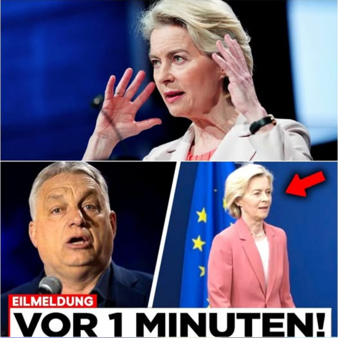 Der historische Eklat in Brüssel: Wie Ursula von der Leyen vor den Enthüllungen flieht und das europäische Machtgefüge ins Wanken gerät
