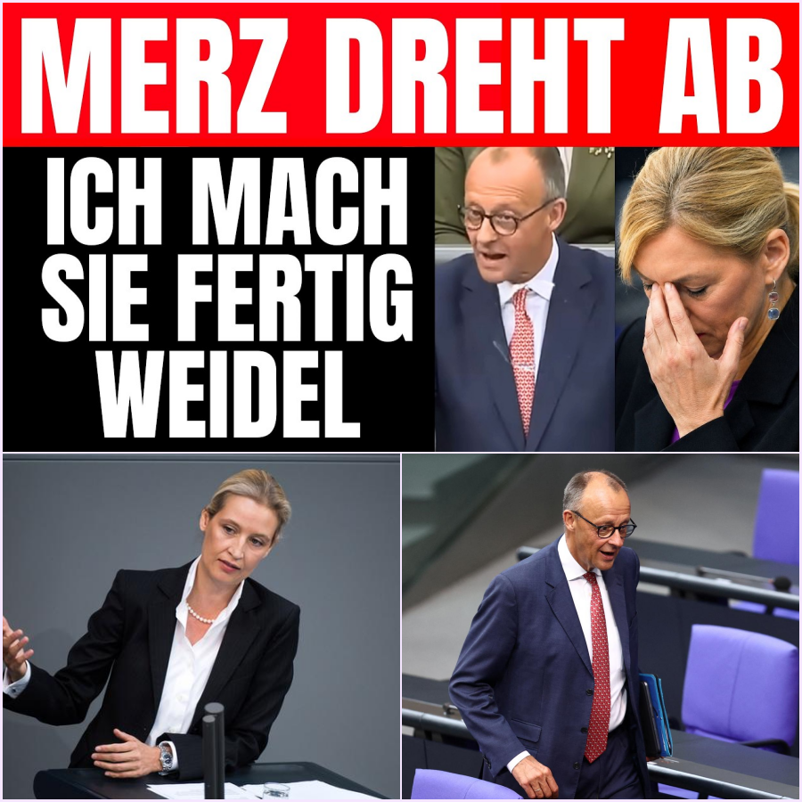 Bundestag im Ausnahmezustand: Alice Weidels schonungslose Abrechnung zwingt Friedrich Merz zum Schweigen