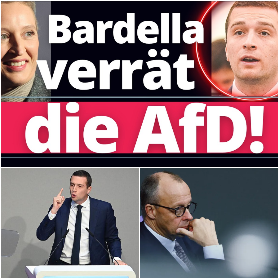 Eklat in Europa: Der gigantische Bluff des Jordan Bardella und der wahre Preis der Macht