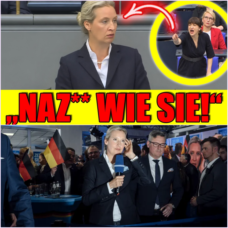 Eklat im Parlament: Weidel attackiert gebrochene Versprechen und linke Gewalt – und wird massiv beleidigt