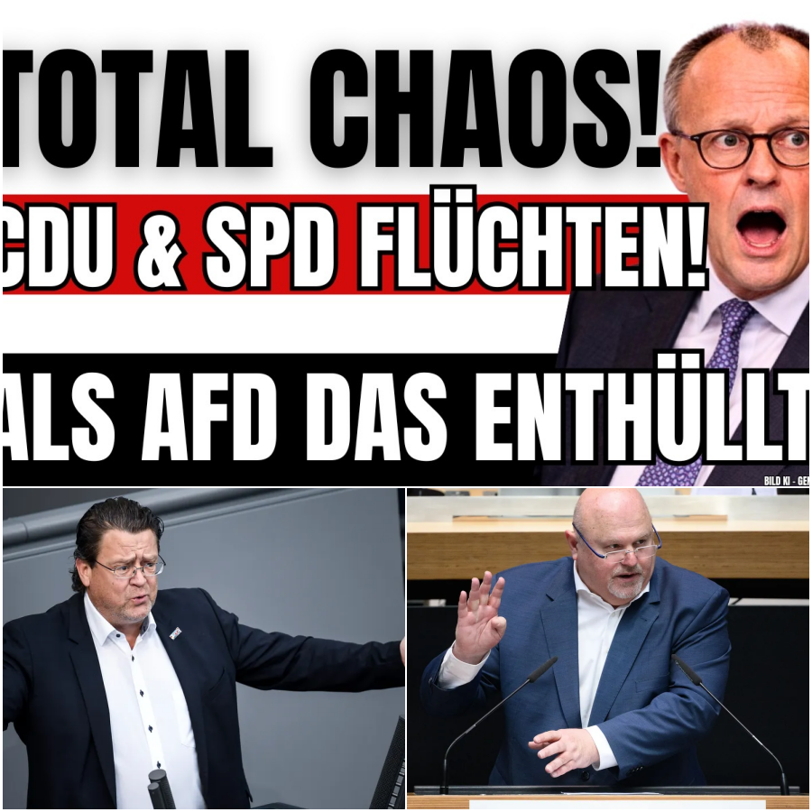 Eklat im Bundestag: Wie Stephan Brandner mit einer ungeschönten Brandrede das Parlament zum Beben brachte und die Altparteien in die Flucht schlug