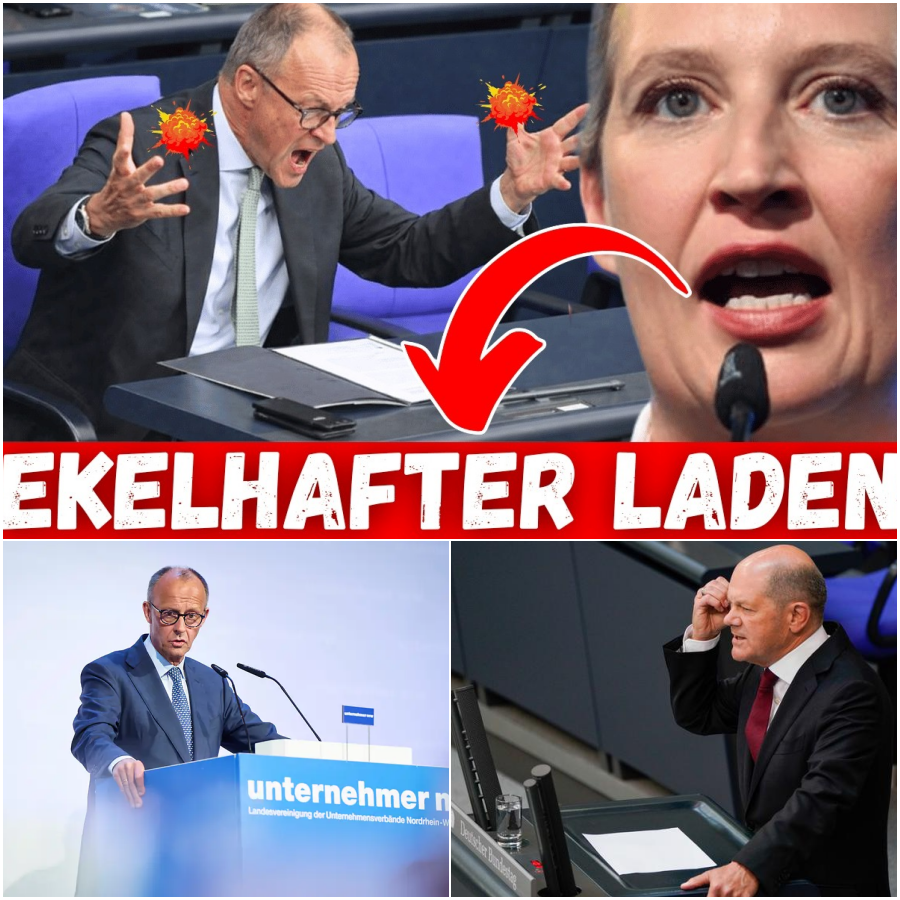 Das Berliner Beben: Ein gnadenloser politischer Showdown, die Wirtschaft im freien Fall und ein Kanzler im Kampf um das Vertrauen
