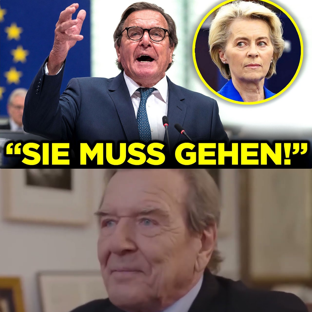 Das politische Erdbeben: Gerhard Schröders beispiellose Abrechnung mit Brüssel, der Kriegslogik und dem Versagen der Berliner Elite