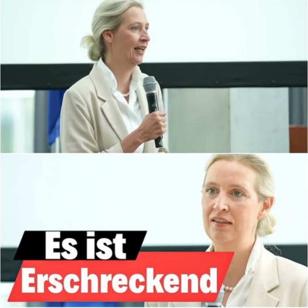 Außenpolitischer Paukenschlag: Alice Weidel über Geheimtreffen mit US-Vizepräsident Vance, den Schutz der Soldaten und das riskante Spiel mit dem russischen Bären