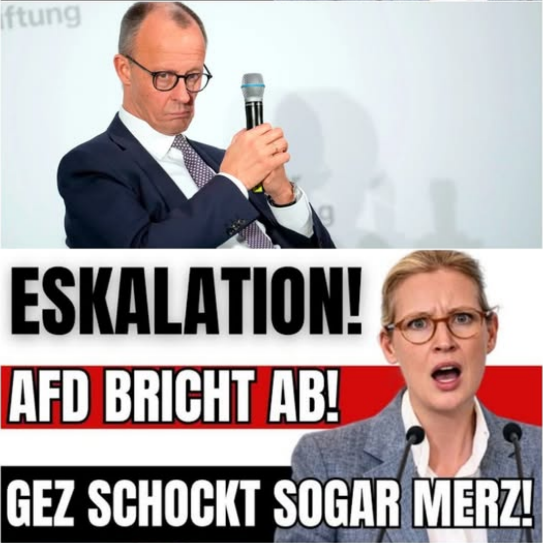 ESKALATION! Weidel ZERLEGT Merz-Presse nach SKANDAL BELEIDIGUNG – AfD BRICHT AB!
