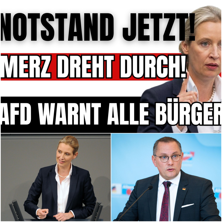 Akuter Notstand in Deutschland: Weidel und Chrupalla rechnen mit der Regierung ab – Führt Friedrich Merz das Land in den Abgrund?